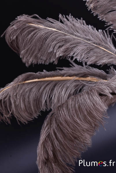 Strauss mit feinem goldenen Strahl - 30-40 cm - grau natur